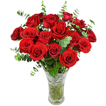 爱生活-19支精品红玫瑰（送花瓶 ）